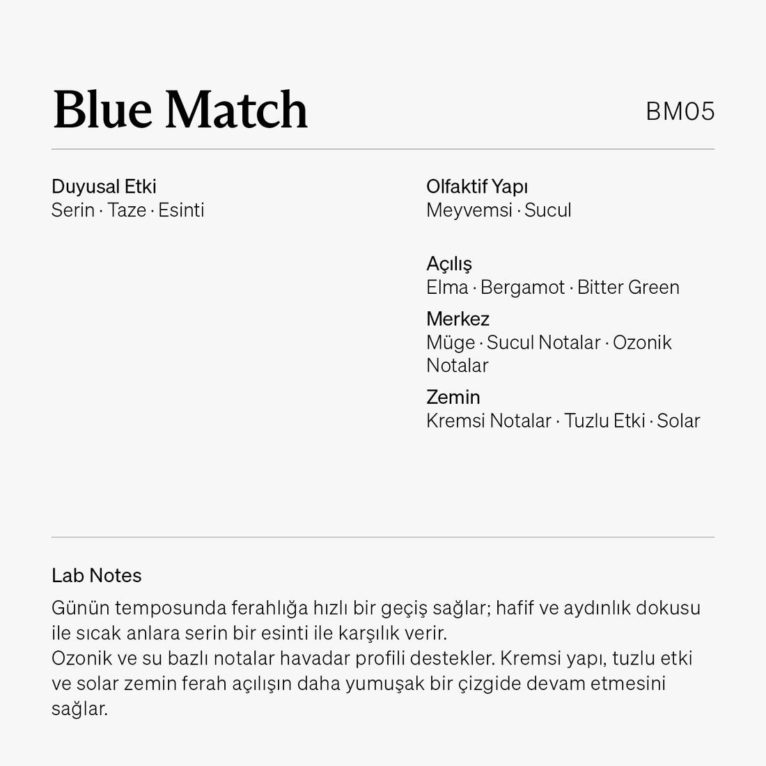Blue Match BM05