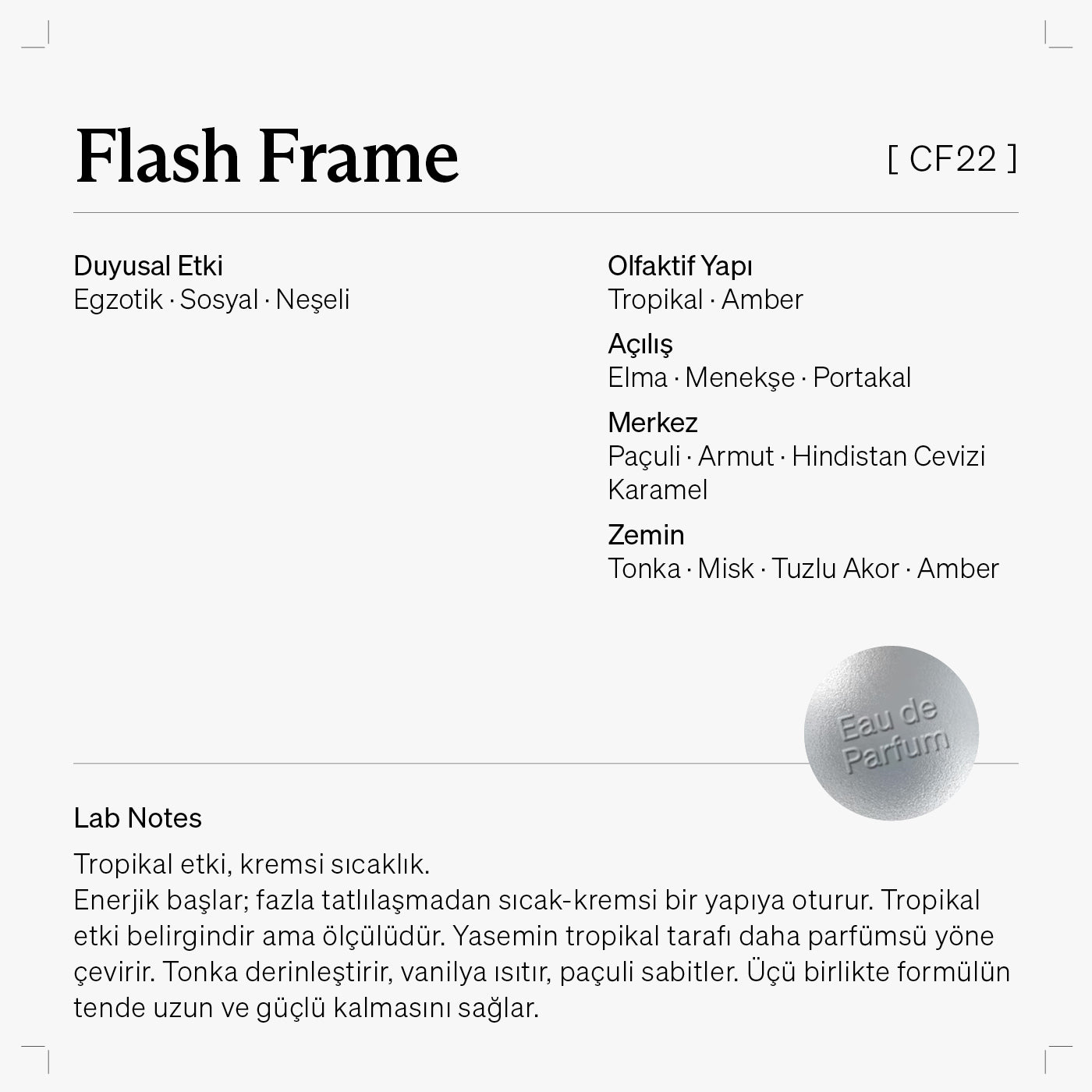 Flash Frame [CF22] - Draft