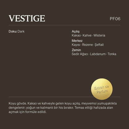 Vestige PF06 - Draft