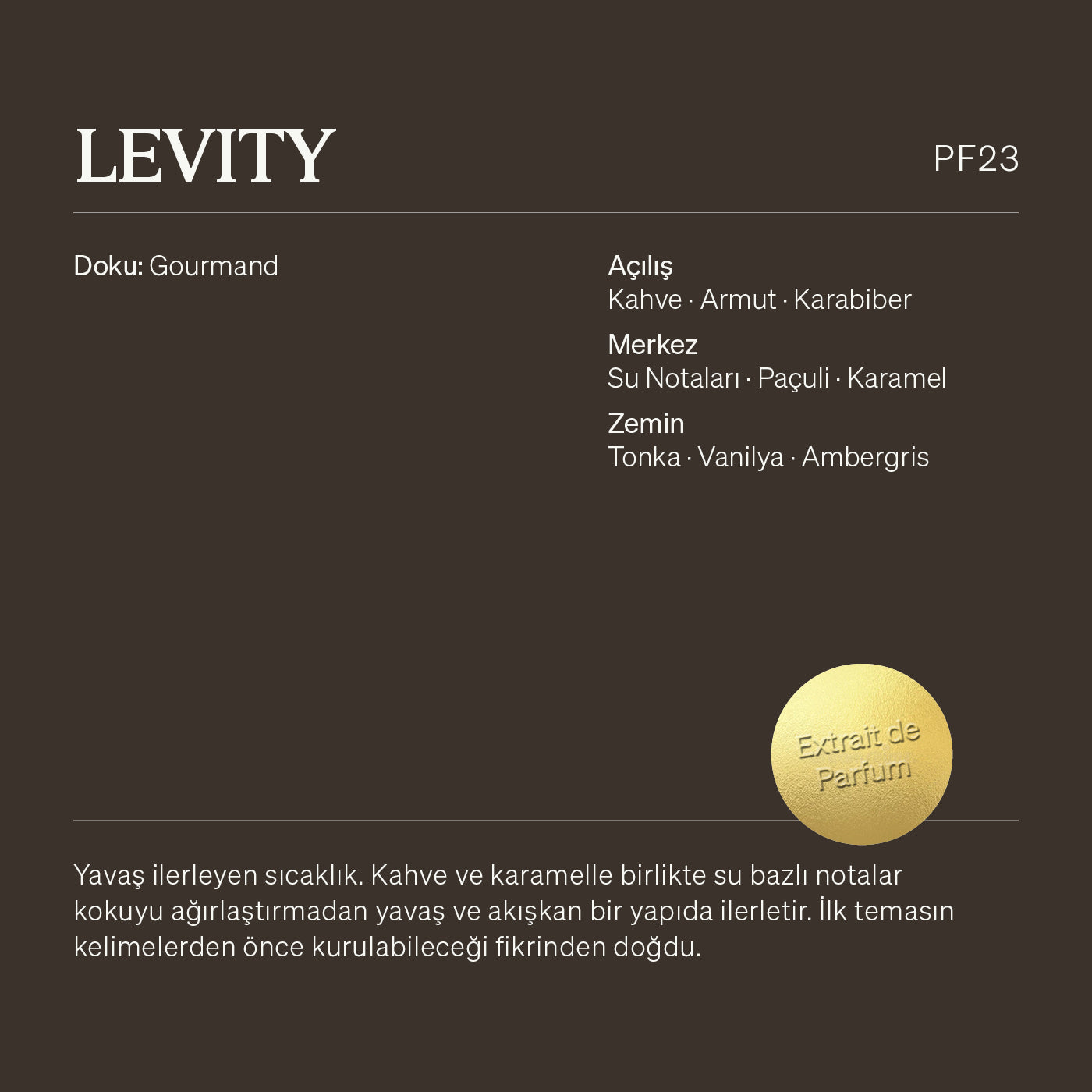 Levity PF23 - Draft